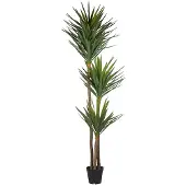 Mr Plant , Jukka Puu 250 cm