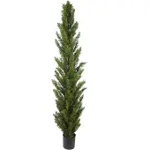 Mr Plant Sypressipuu 120 cm