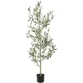 Mr Plant , Oliivipuu 140 cm