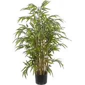 Mr Plant , Bambu 120 cm