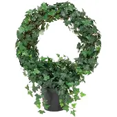 Mr Plant , Muratti 85 cm