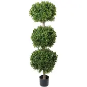 Mr Plant Buxbom 140 cm