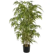 Mr Plant Bambu 150 cm