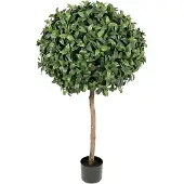 Mr Plant , Lagerlaakeripuu 135 cm