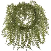 Mr Plant , Kranssi 50 cm