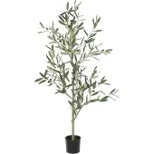 Mr Plant , Oliivipuu 120 cm