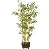 Mr Plant Bambu 190 cm