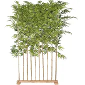 Mr Plant , Bambu 190 cm