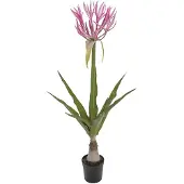 Mr Plant , Nerine Huonekasvi 125 cm Pinkki