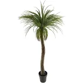 Mr Plant Pullo lilja 180 cm
