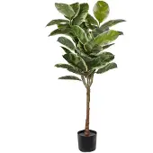 Mr Plant Viikuna Elastica 150 cm