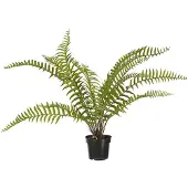 Mr Plant , Saniaiset 90 cm