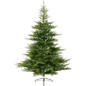 Grandis 180cm joulukuusi