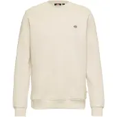 Dickies Oakport Collegepaita
