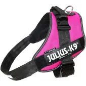 JULIUS K-9 Idc Power Mini Koiran Valjaat