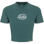 Dickies Globe Lyhythihainen T-paita