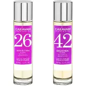 Caravan Nº42 & Nº26 Hajuvesi