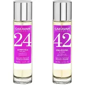 Caravan Nº42 & Nº24 Hajuvesi
