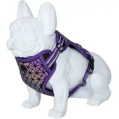 Freedog Boreal Koiran Valjaat