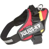 JULIUS K-9 Idc Power Koiran Valjaat