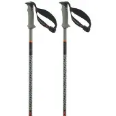 Salomon Polar Pro S3 Kävelysauvat