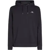 O'Neill Small Logo Huppari