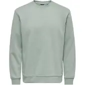 Only & Sons Collegepaita 'ONSConnor' pastellinvihreä