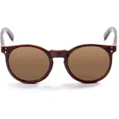 Ocean Sunglasses Lizard Wood Polarisoidut Aurinkolasit