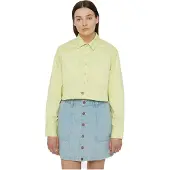 Dickies Culpeper Pitkähihainen Kauluspaita