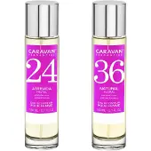 Caravan Nº36 & Nº24 Hajuvesi
