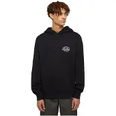 Dickies Globe Huppari