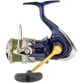 Daiwa Crest Lt Pe Tsuki 2023 Heittokelan
