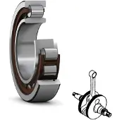Skf Nu 6204-ecp - 20x47x14 Mm Laakeri