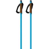Fischer Storm Gtx M Kävelysauvat