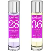 Caravan Nº36 & Nº28 Hajuvesi