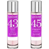 Caravan Nº45 & Nº43 Hajuvesi