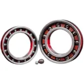 Zipp 61903 Ceramic Laakerit