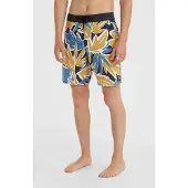 O'Neill Og Print 18" Surffishortsit seafoam black Koko 32