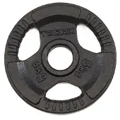 Toorx Kumilevy 5kg