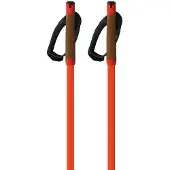 Fischer Storm Gtx L Kävelysauvat