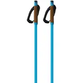 Fischer Storm Gtx L Kävelysauvat