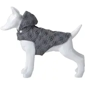 Freedog Flash Koiran Takki