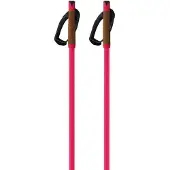 Fischer Storm Gtx L Kävelysauvat