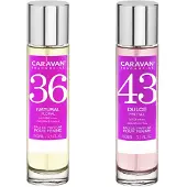 Caravan Nº43 & Nº36 Hajuvesi