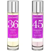 Caravan Nº45 & Nº36 Hajuvesi