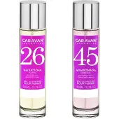 Caravan Nº45 & Nº26 Hajuvesi