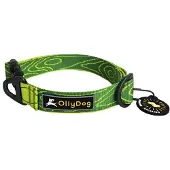 OllyDog Flagstaff kaulapanta, vihreä
