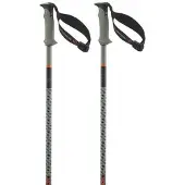 Salomon Polar Pro S3 Kävelysauvat