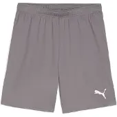Puma Jalkapalloshortsit Teamgoal - Harmaa/valkoinen, koko X-Small