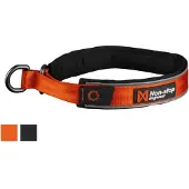 Non-Stop Dogwear Cruise Collar Orange XL